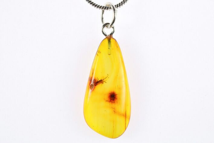 Polished Baltic Amber Pendant (Necklace) - Contains Leafhopper! #272290